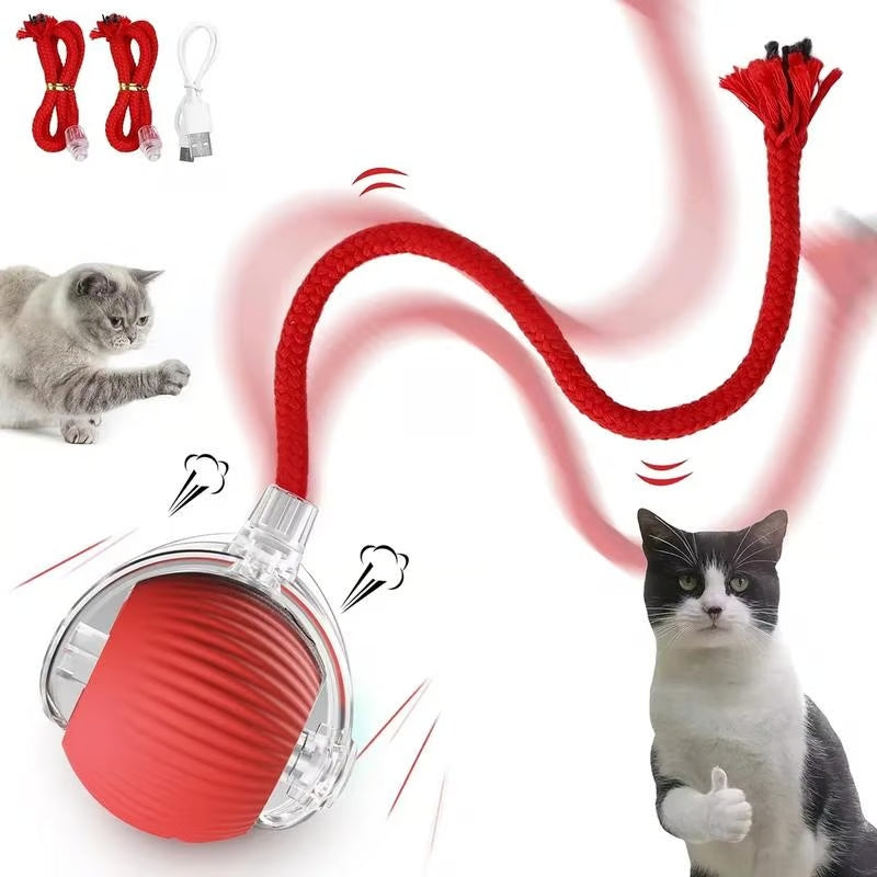 SmartBall® Bola Interactiva Recargable Gatos/Perros